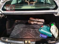 رينو فلوينس